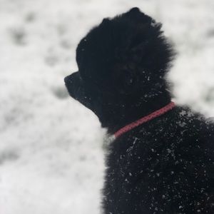 Meet your Posher, Amy yoon ji